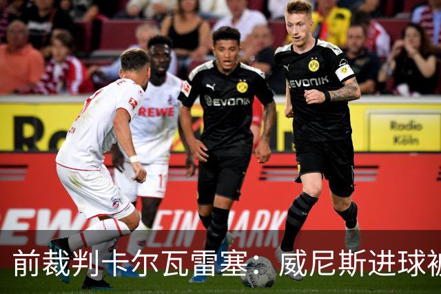 前裁判卡尔瓦雷塞：威尼斯进球被判无效的技术依据，减少争议的必要性